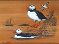 table puffin 24x48